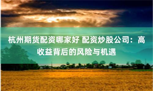 杭州期货配资哪家好 配资炒股公司：高收益背后的风险与机遇
